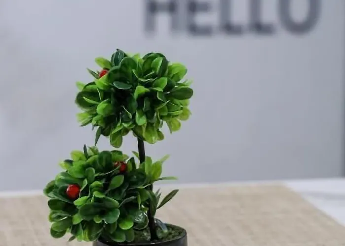 N Center By Noshi Tirana